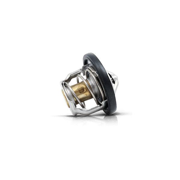 Thermostat for car