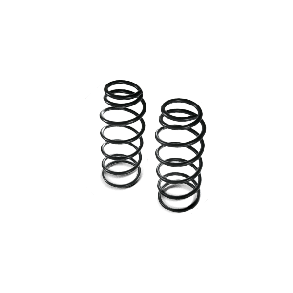 Springs for vehicle