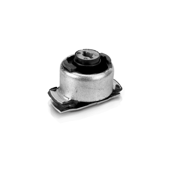 Axle bushes for car