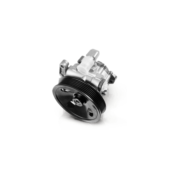 Pompa idroguida A4 B8 Avant 2.7TDI 190 CV