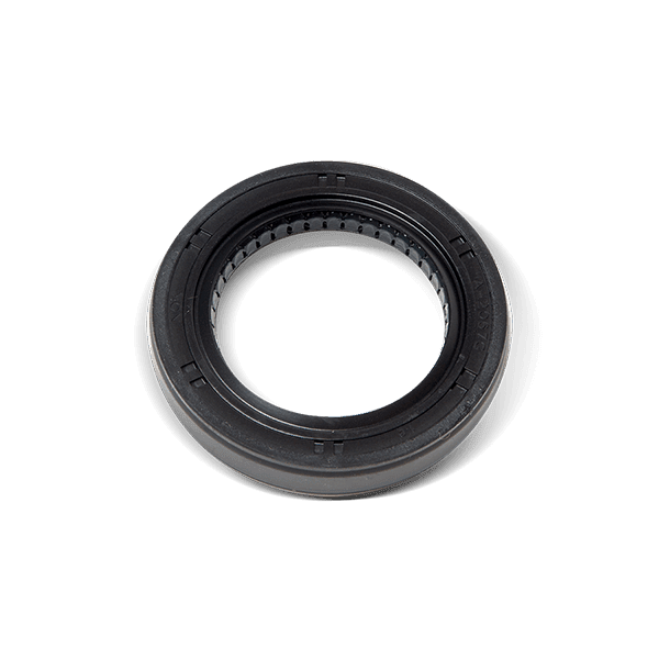 Shaft seal, differential