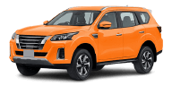 NISSAN TERRA Dekk rimelig